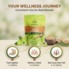 Amla Powder 250 Gm