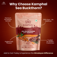 Sea Buckthorn Dry Berries 100 gm