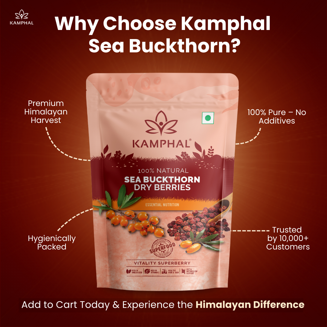 Sea Buckthorn Dry Berries 100 gm