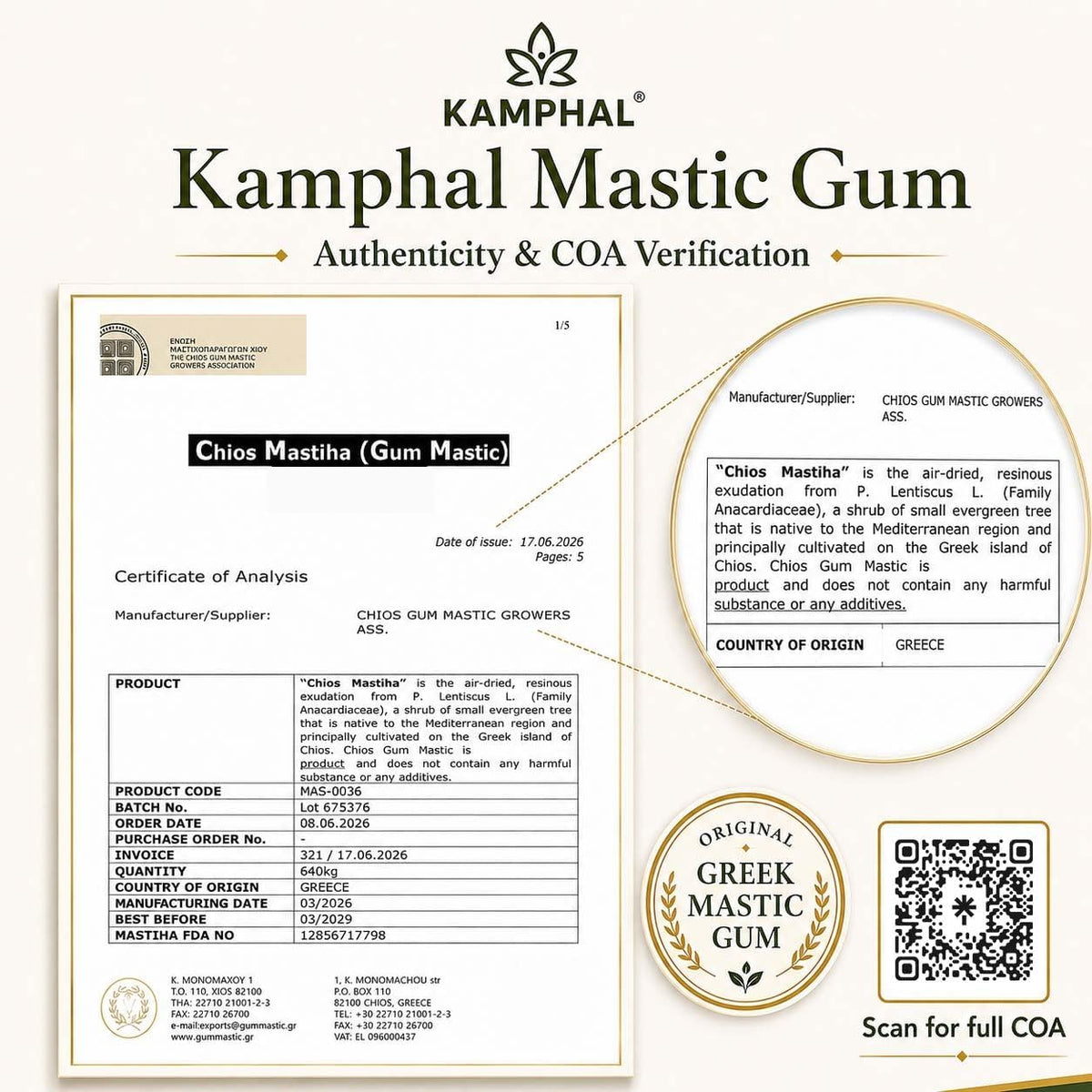 Mastic Gum (Rumi Mastagi) Capsules 1050mg