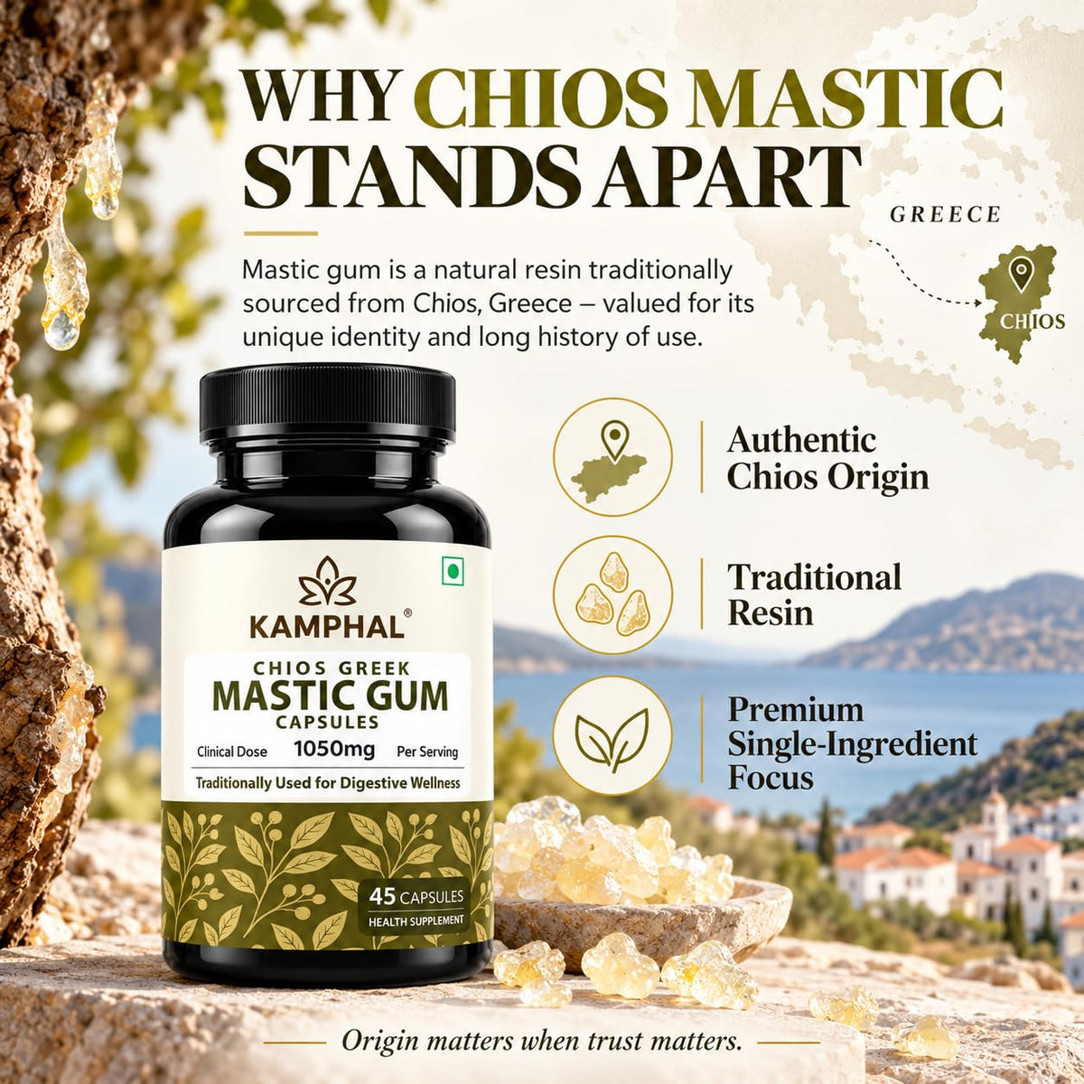 Mastic Gum (Rumi Mastagi) Capsules 1050mg