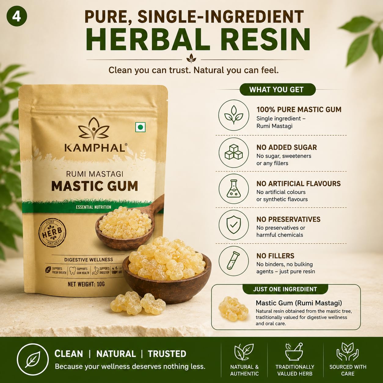 Kamphal Mastic Gum Rumi Mastagi 10g | Pure Natural Chewable Resin | Supports Digestive Wellness & Oral Freshness | Traditional Herb | No Added Sugar, No Preservatives