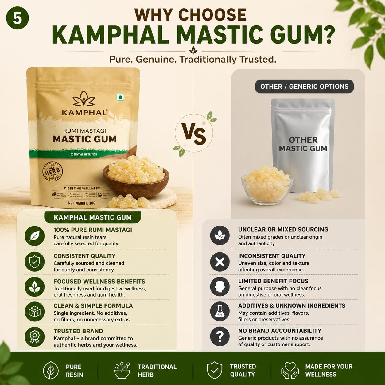 Kamphal Mastic Gum Rumi Mastagi 10g | Pure Natural Chewable Resin | Supports Digestive Wellness & Oral Freshness | Traditional Herb | No Added Sugar, No Preservatives
