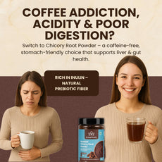 Instant Roasted Chicory Root Powder 200g