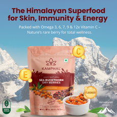 Sea Buckthorn Dry Berries 100 gm