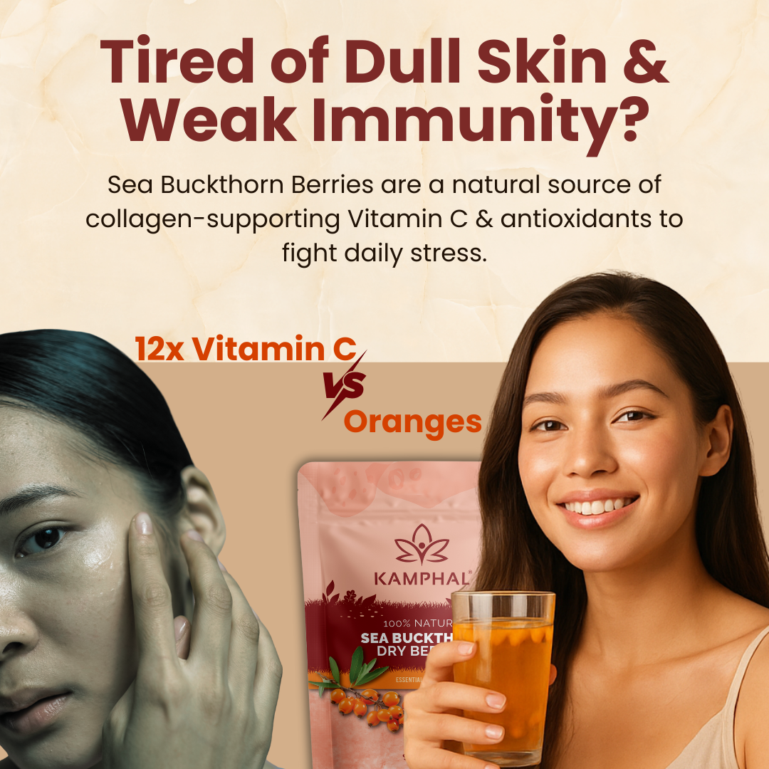 Sea Buckthorn Dry Berries 100 gm