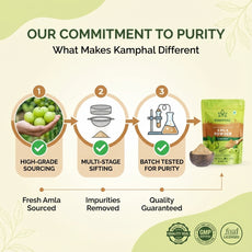Amla Powder 250 Gm