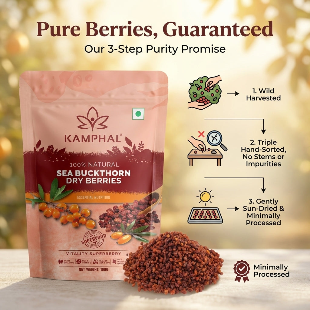 Sea Buckthorn Dry Berries