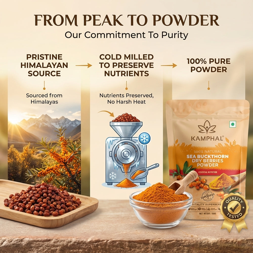 Sea Buckthorn Dry Berries Powder