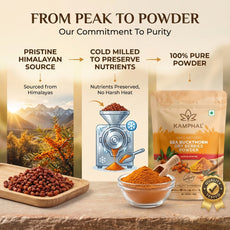 Sea Buckthorn Dry Berries Powder