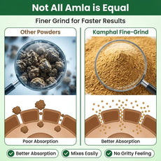 Amla Powder 250 Gm
