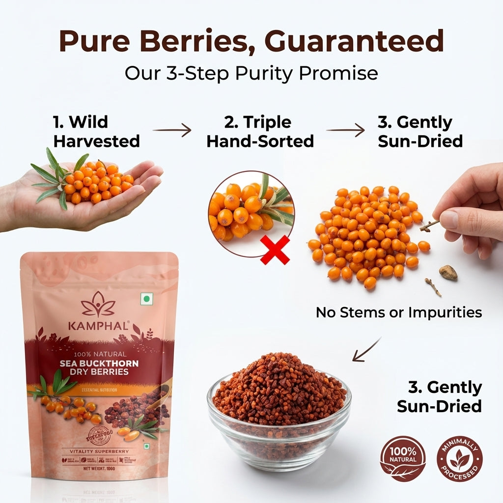 Sea Buckthorn Dry Berries