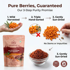 Sea Buckthorn Dry Berries